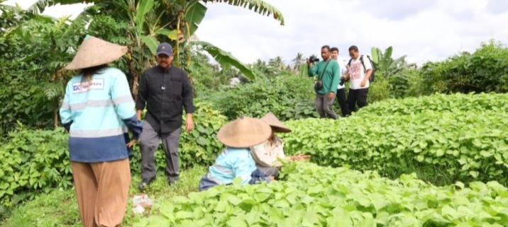 Kunjungan Bupati Kukar, Edi Damansyah bertemu kelompok tani holtikultura Desa Sumber Sari / Istimewa