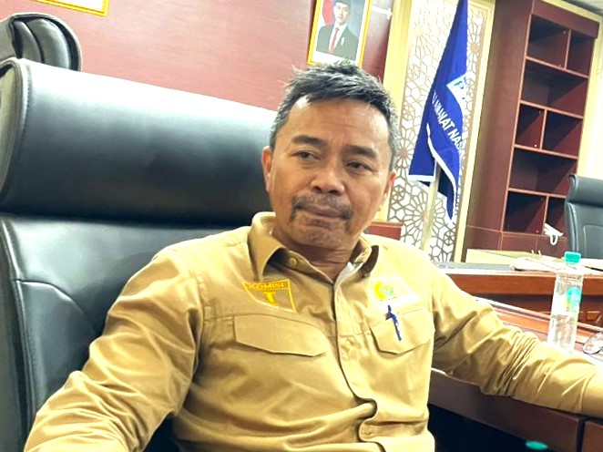 Anggota DPRD Kaltim, Baharuddin Demmu. (ist)