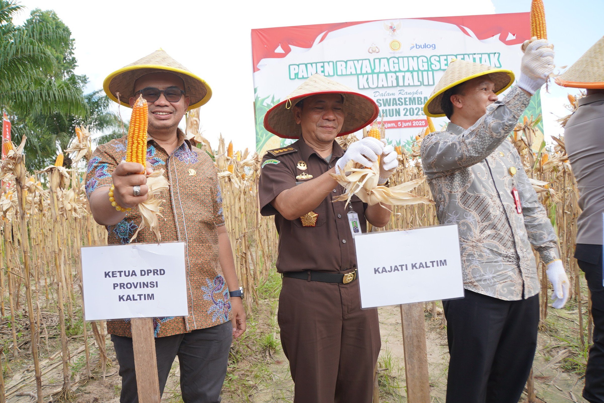 Anggota DPRD Kaltim, Fadly Imawan. (ist)